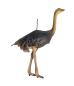 Preview: Dresden Cardboard, Ostrich, ca. 1900