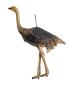 Preview: Dresden Cardboard, Ostrich, ca. 1900