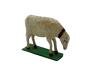 Preview: Grulich Sheep, ~ 1900