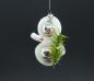 Preview: Glass Ornament with Chenille, Eskimo,  Gablonz Czechia, ~ 1960/1970