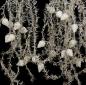 Preview: 5 silver colored tinsel garlands with spun cotton icicles,  ca. 700 cm - ca. 1930