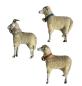 Preview: 3 German putz wooly sheep, ~ 1930