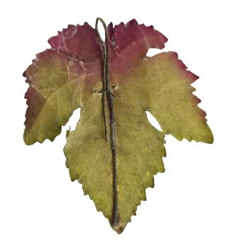 Gablonz Insect on leaf, ~ 1930