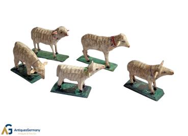 5 Grulich Sheep, ~ 1900