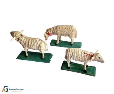3 Grulich Sheep, ~ 1900