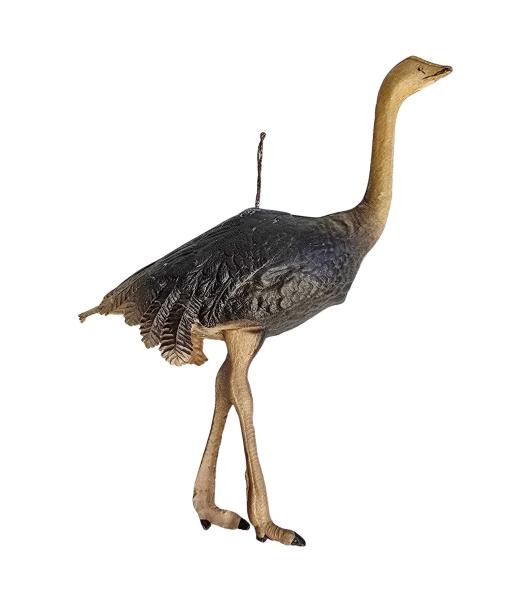 Dresden Cardboard, Ostrich, ca. 1900