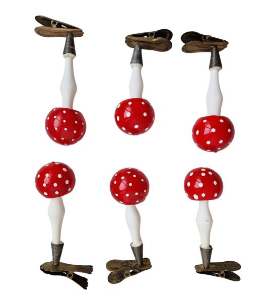 6 Mushrooms on Clip