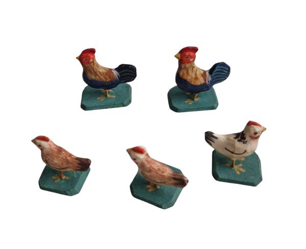 Flock of 5  Chickens